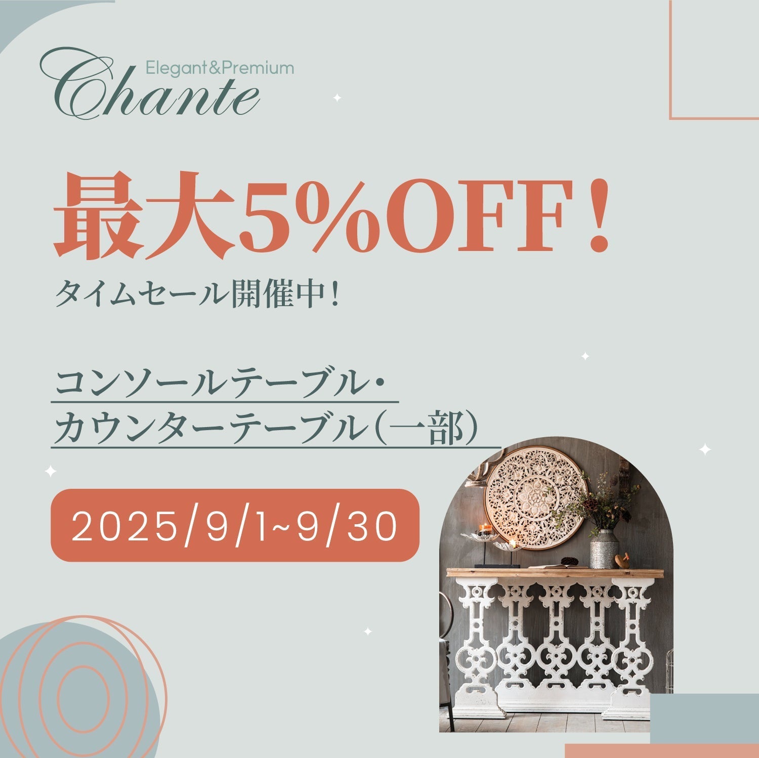 「カメ  タイムセール」 Chanté| 本棚・書棚・飾り棚・ショーケース タイムセール開催の